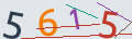 verifycode